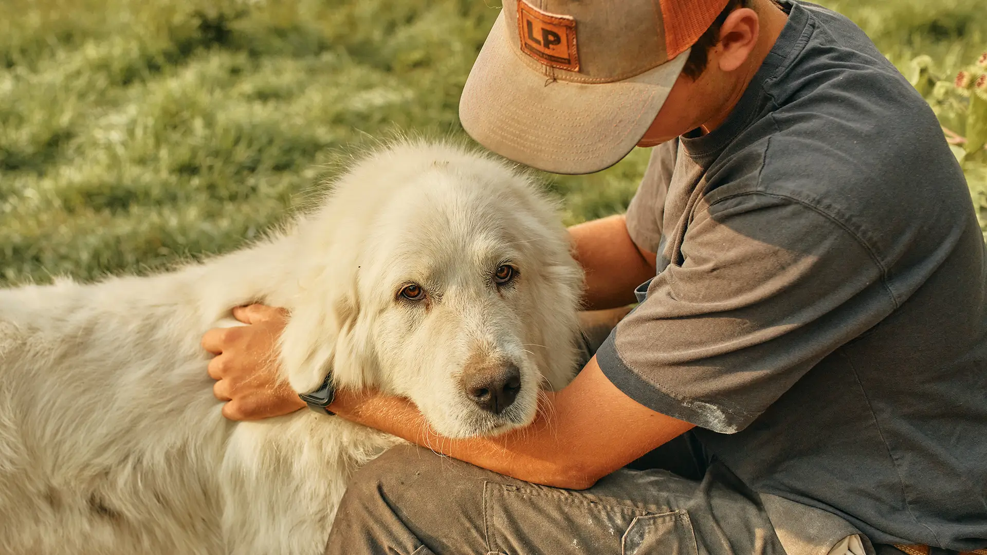 Boy & Dog