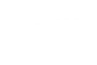 Palermos Logo