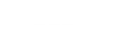 PepsiCo Logo